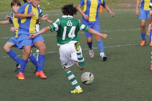 db真人游戏官网-体育新闻中心发布体育内容原创度评估智能工具，原创体育sports